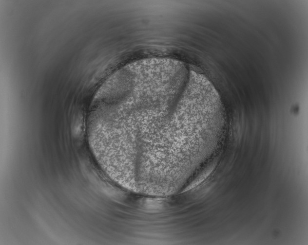 X0000115540134200911271419