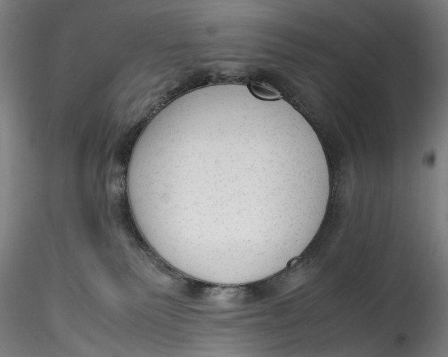 X0000115540135200911271419