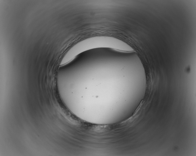 X0000115540136200911271419