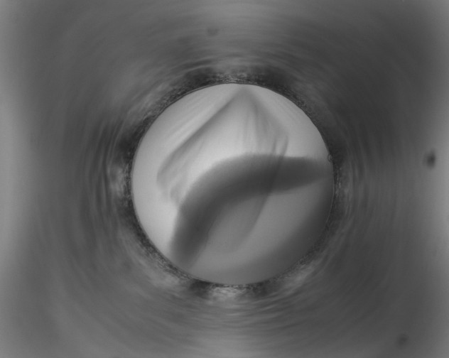 X0000115540139200911271419