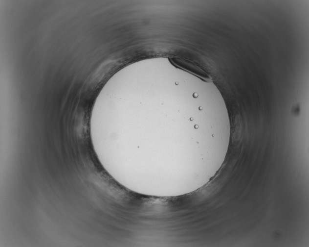 X0000115540140200911271419