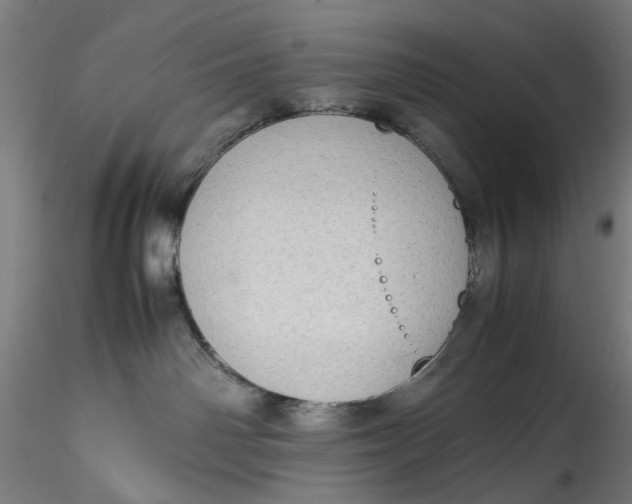 X0000115540142200911271419