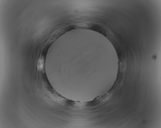 X0000115540143200911271419