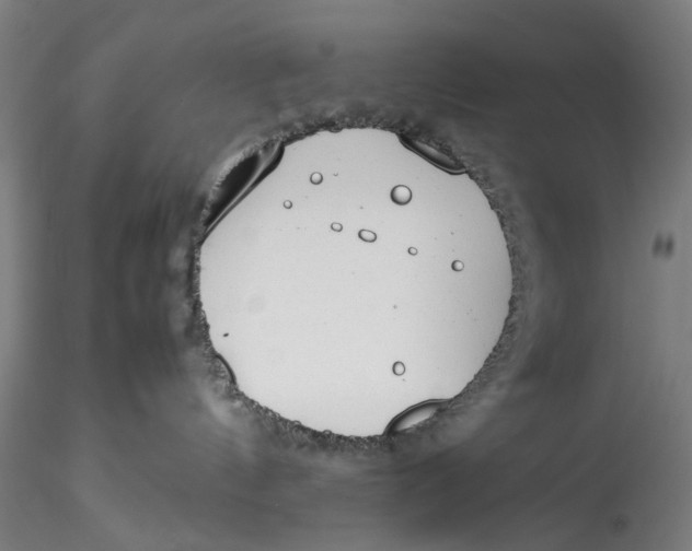 X0000115540144200911271419