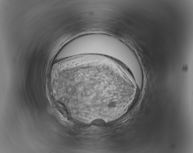 X0000115540145200911271418