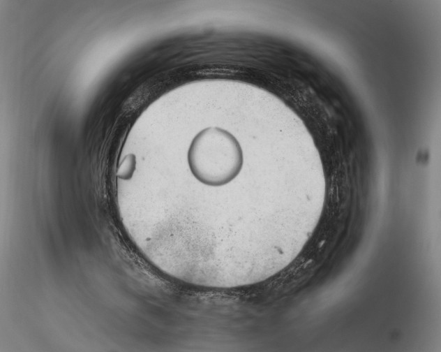 X0000115540146200911271418