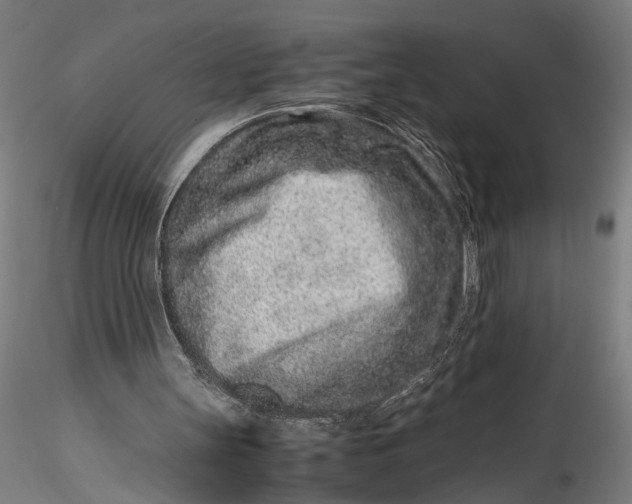 X0000115540147200911271418