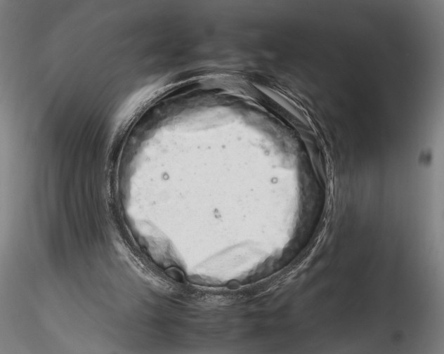 X0000115540149200911271418