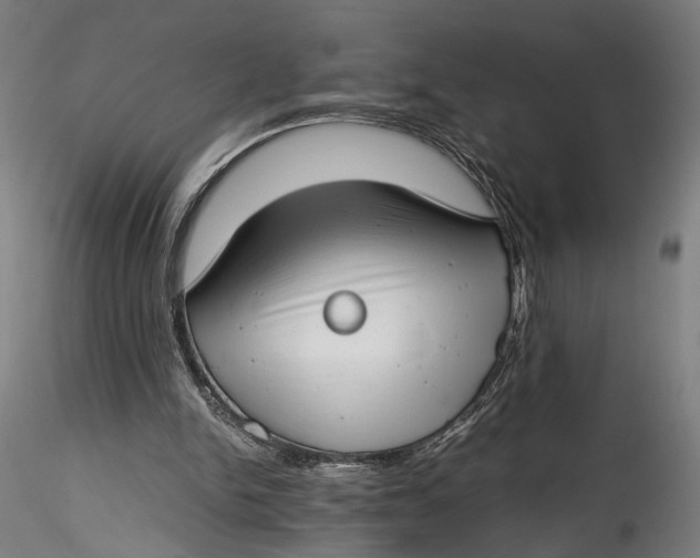 X0000115540150200911271418