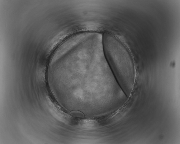 X0000115540154200911271418