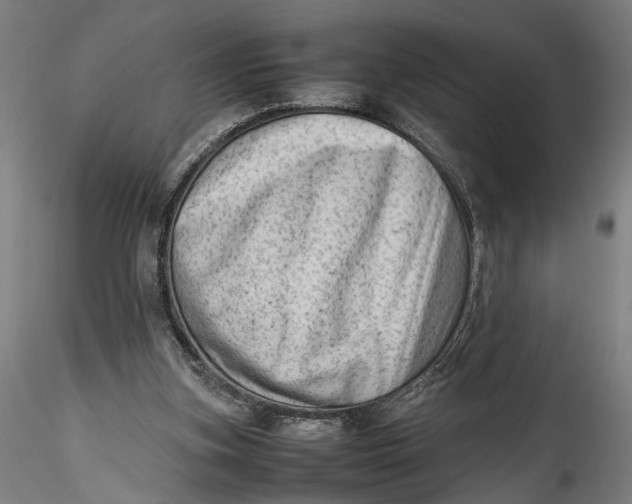 X0000115540155200911271418