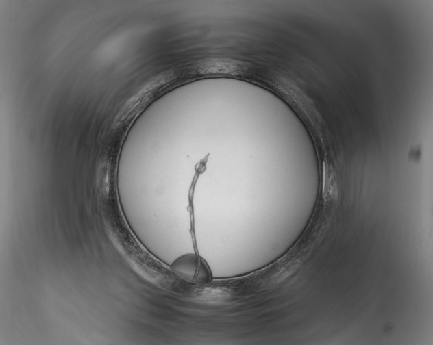 X0000115540157200911271418