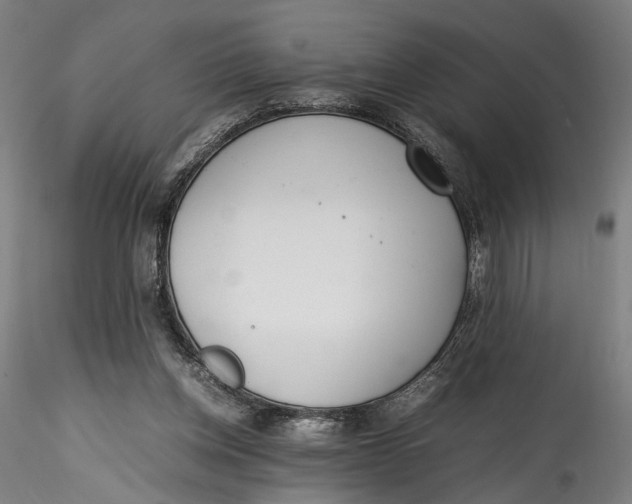 X0000115540158200911271418