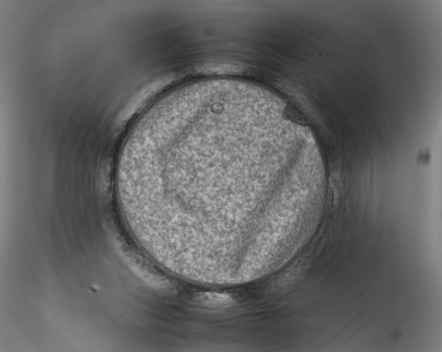 X0000115540159200911271418