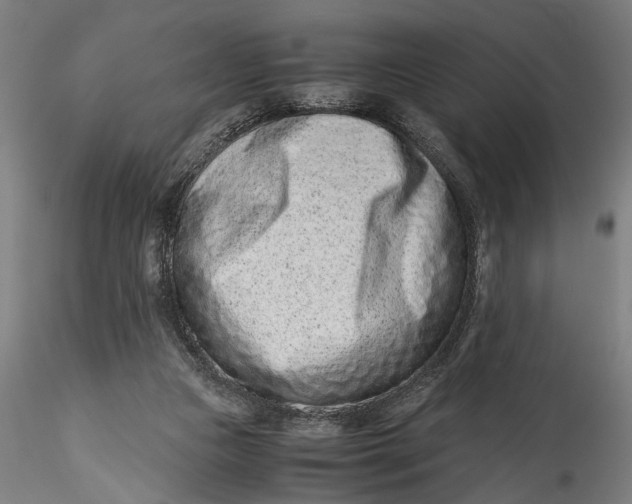 X0000115540161200911271418