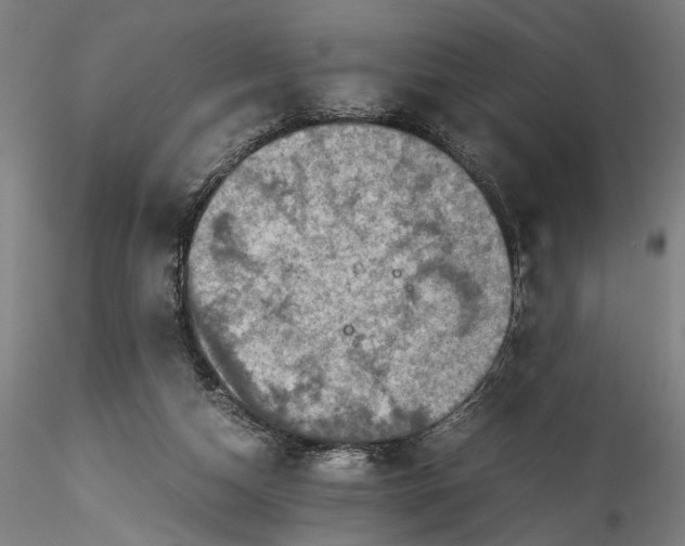 X0000115540162200911271418