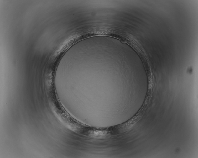 X0000115540163200911271418