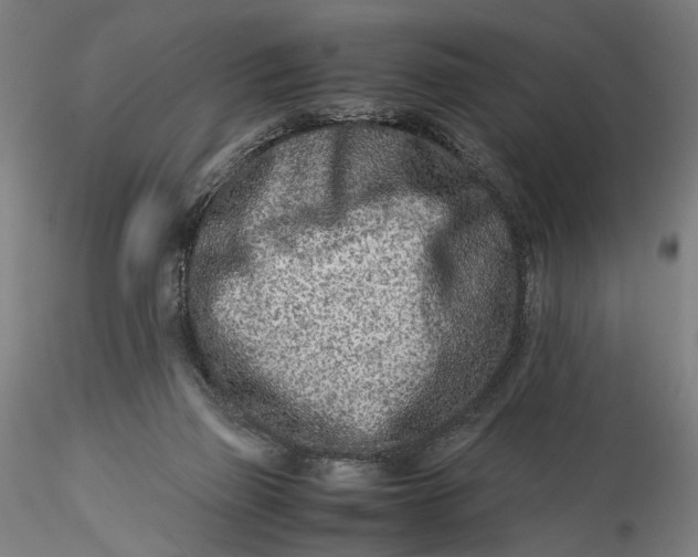 X0000115540165200911271418