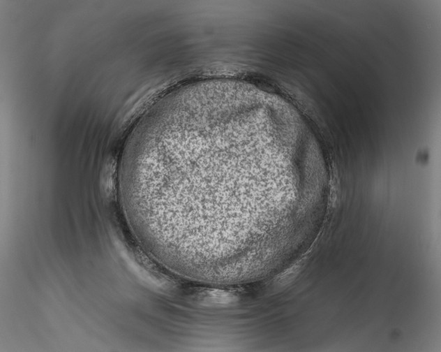 X0000115540166200911271418