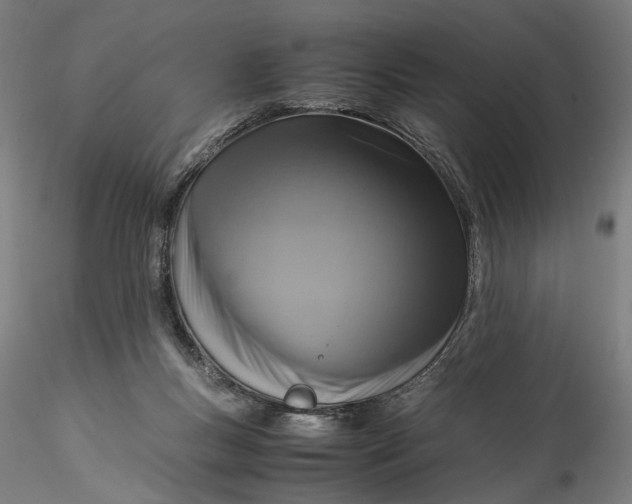 X0000115540167200911271418