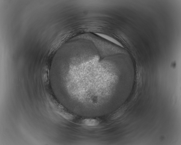 X0000115540169200911271418