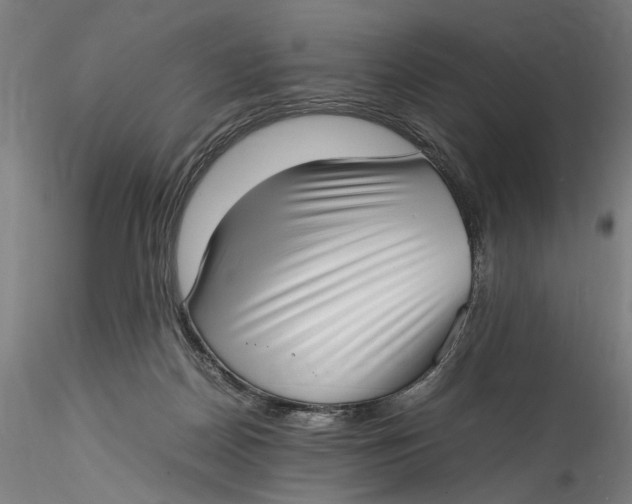 X0000115540170200911271418