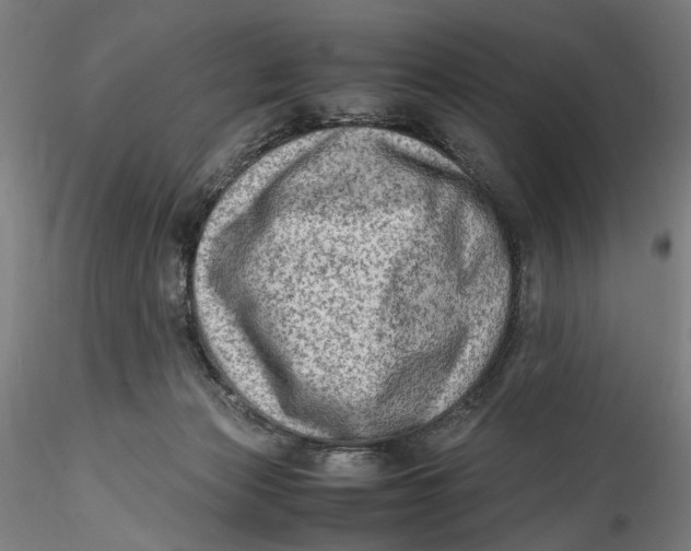 X0000115540173200911271418