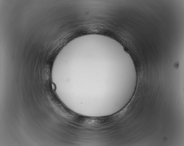 X0000115540174200911271419