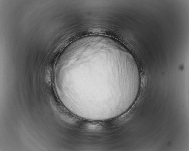 X0000115540175200911271419