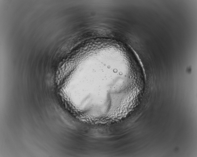 X0000115540177200911271419