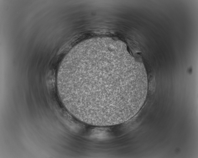 X0000115540179200911271419