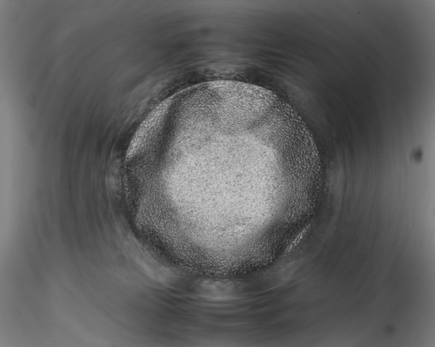 X0000115540181200911271419