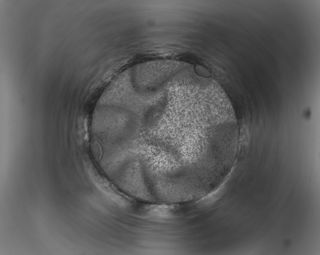 X0000115540182200911271419