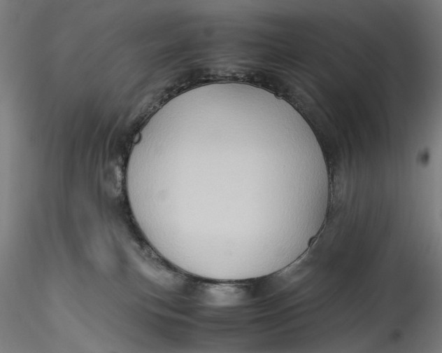 X0000115540183200911271419