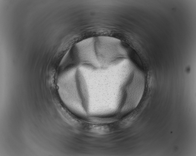 X0000115540185200911271419