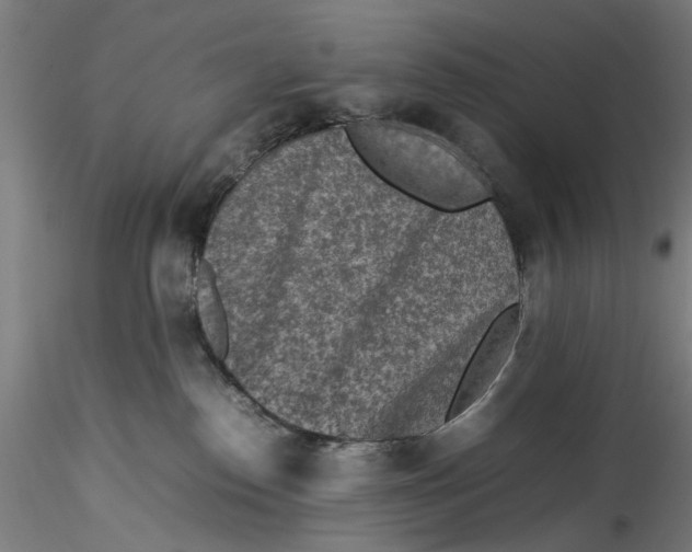 X0000115540186200911271419