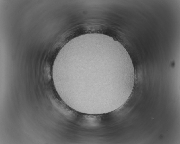 X0000115540187200911271419