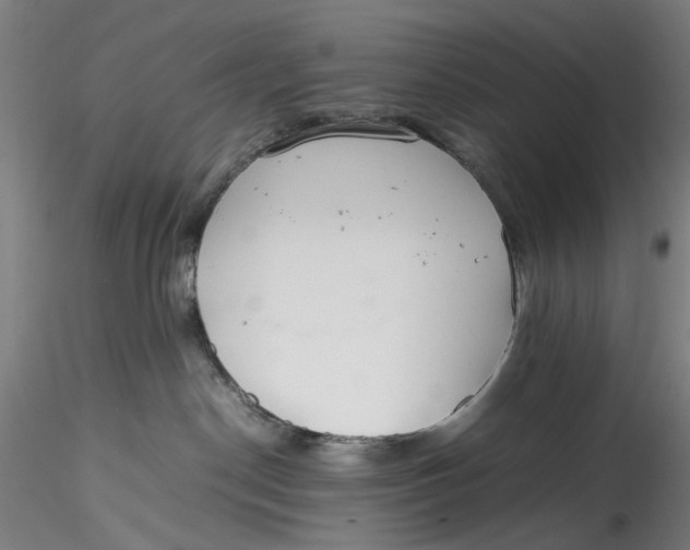 X0000115540190200911271419