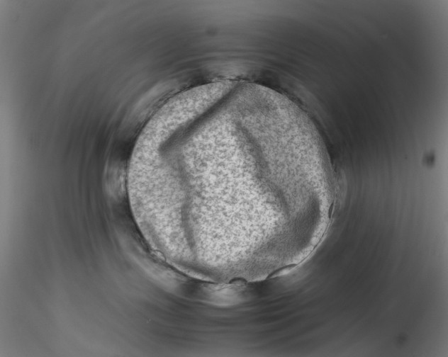 X0000115540191200911271419