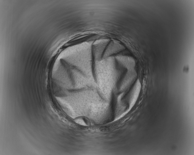 X0000115540194200911271418