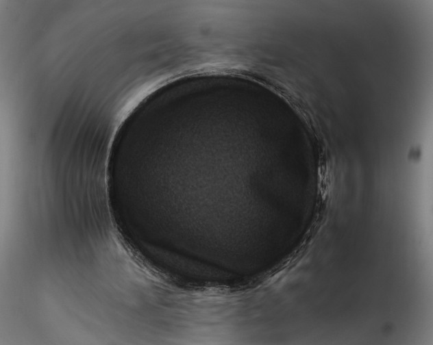 X0000115540196200911271418