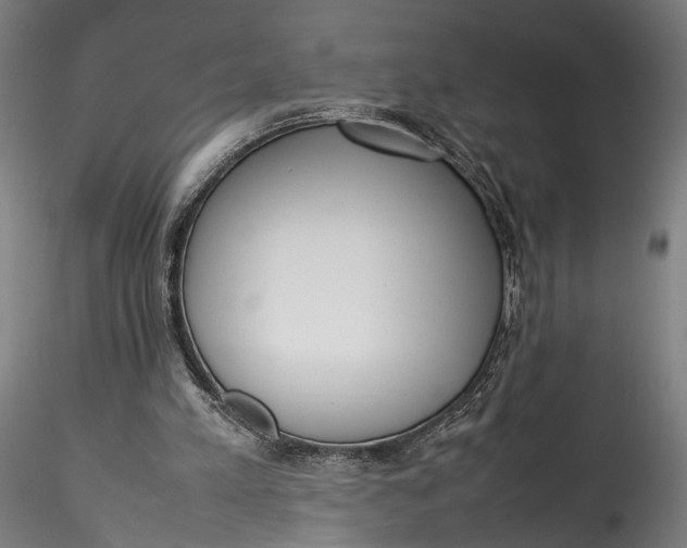 X0000115540197200911271418