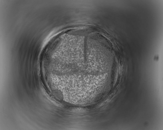 X0000115540198200911271418