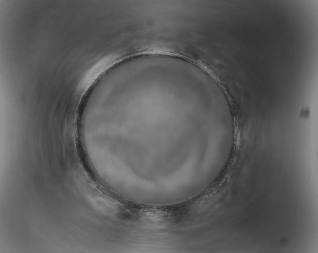 X0000115540199200911271418