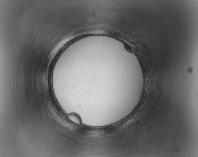 X0000115540200200911271418