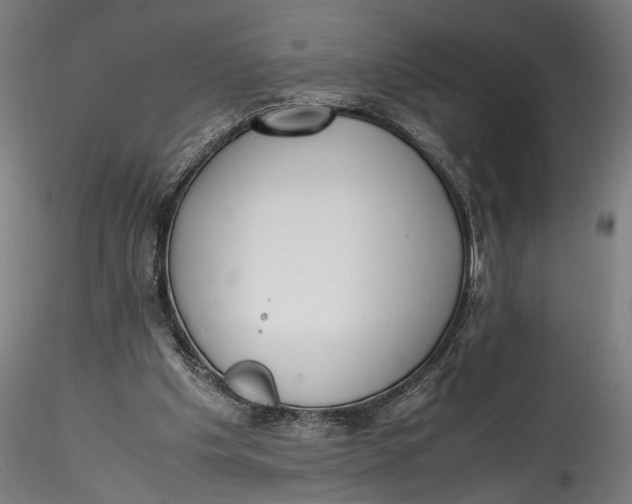 X0000115540201200911271418