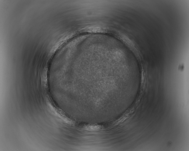 X0000115540202200911271418