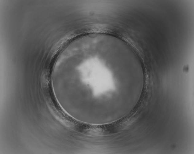 X0000115540203200911271418