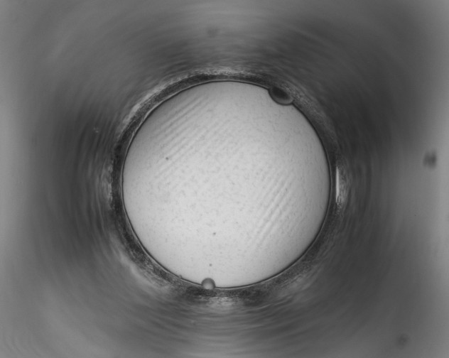 X0000115540204200911271418