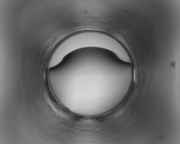 X0000115540205200911271418